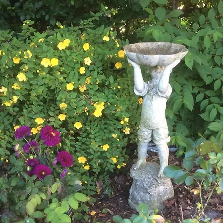 Bed & Breakfast Seven Oaks