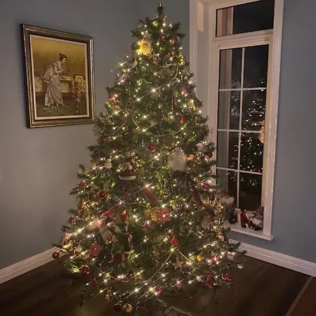 Bed & Breakfast Seven Oaks