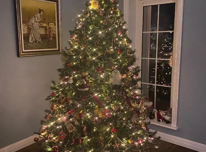 Bed & Breakfast Seven Oaks